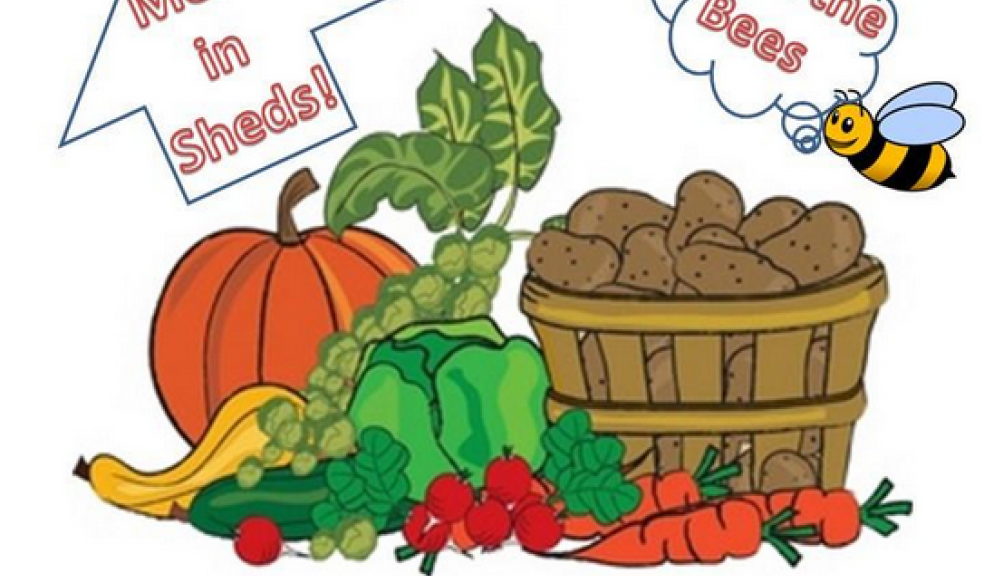 8th Kenton Village Allotments annual open day The Exeter Daily